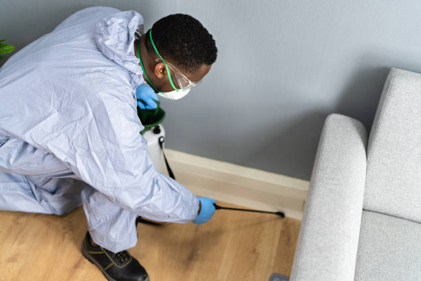 Best Pest Prevention Services  in Ford City, PA